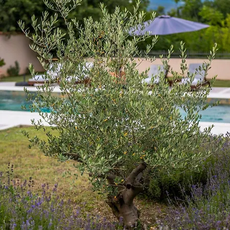 Villa Four Olive Trees Mostar