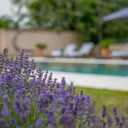 Four Olive Trees Villa Mostar